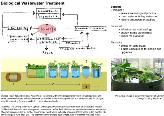 biological wastewater treatment process